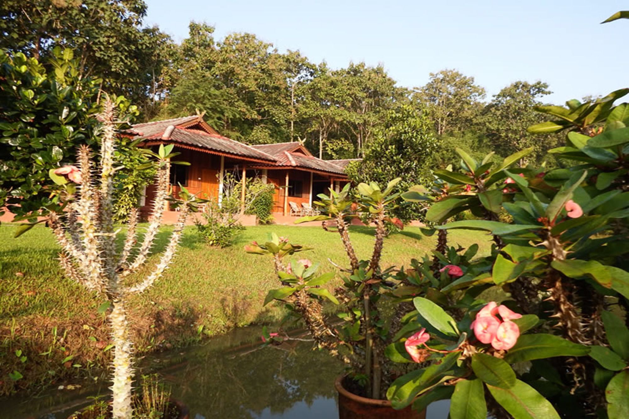 Noks Garden Resort Chiang Rai Eksteriør bilde